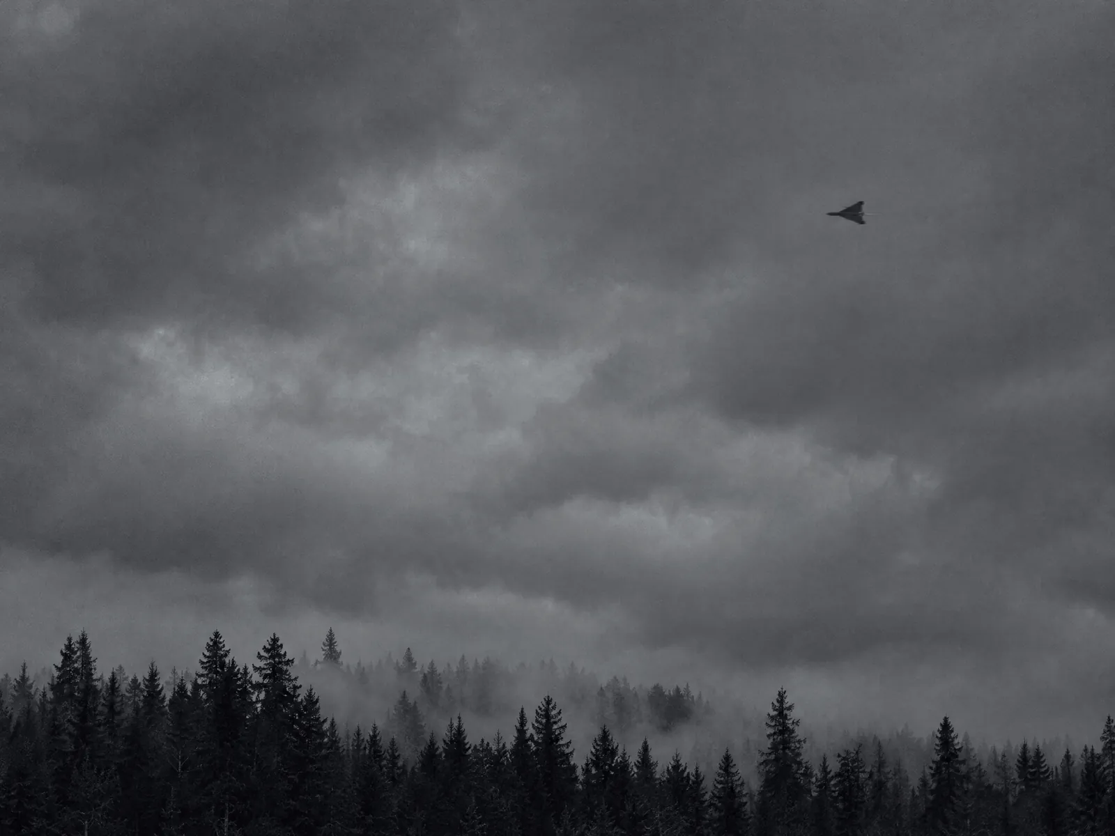 A small delta-wing drone crossing a grey overcast sky above a pine treeline.